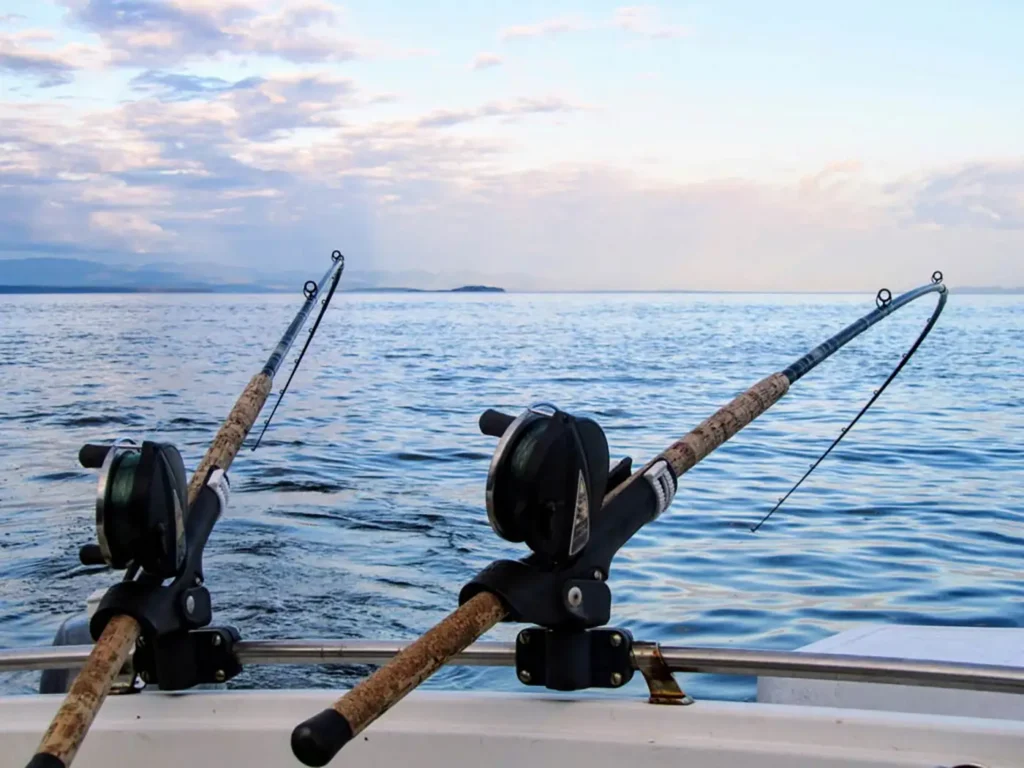 Fishing Equipment
